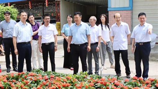 自治區(qū)政協(xié)常委、梧州市政協(xié)主席黃振饒蒞臨百裕集團(tuán)走訪調(diào)研